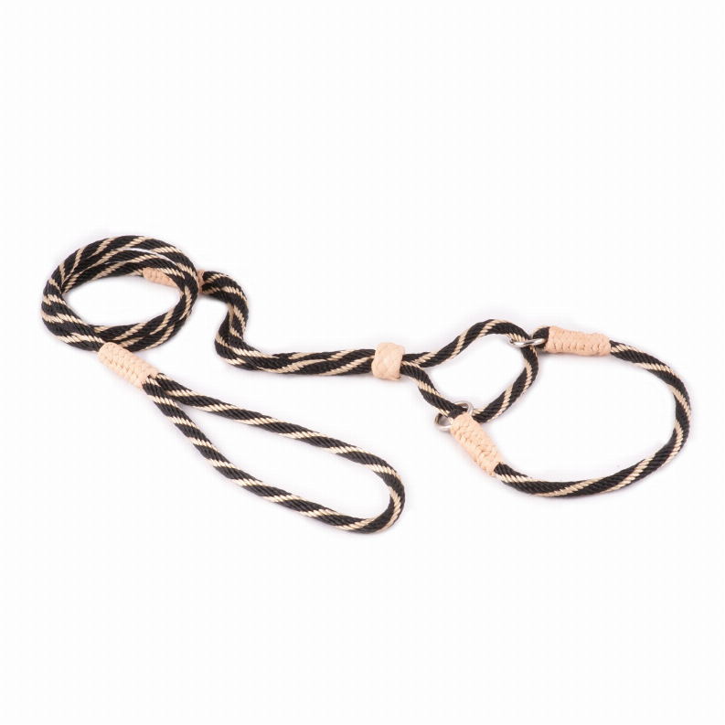 Alvalley Nylon Martingale Leads - Pet Supplies