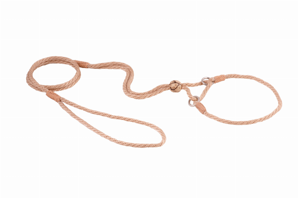 Alvalley Nylon Martingale Leads - Pet Supplies