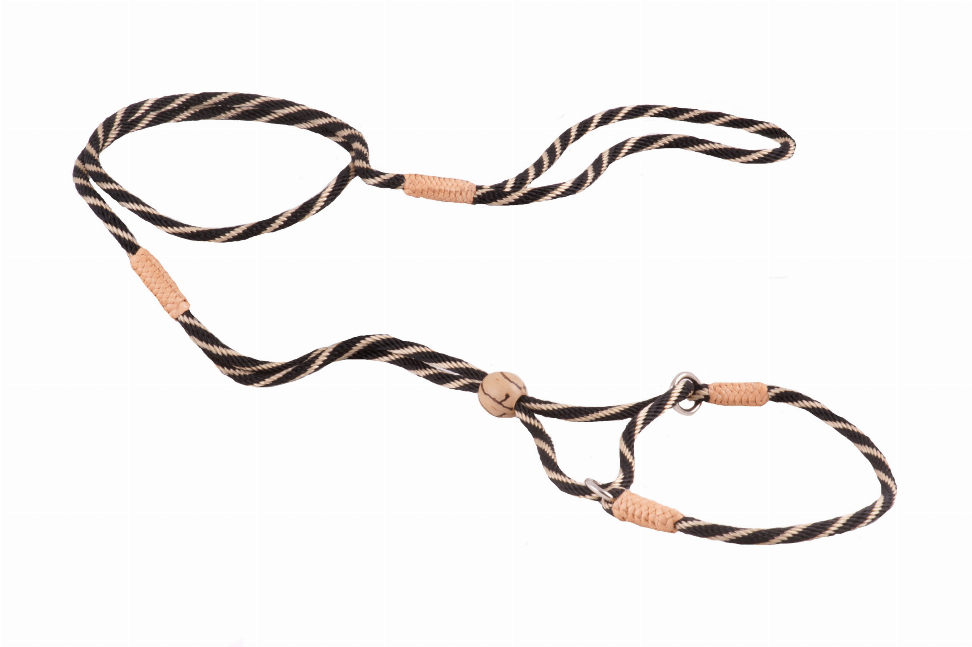 Alvalley Nylon Martingale Leads - Pet Supplies