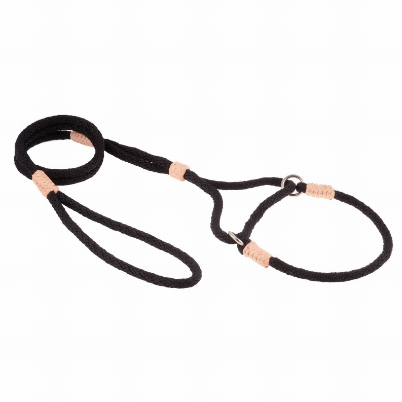 Alvalley Nylon Martingale Leads - Pet Supplies