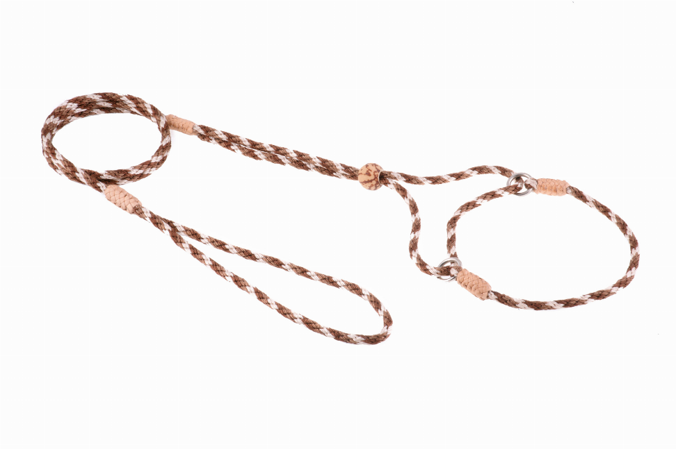 Alvalley Nylon Martingale Leads - Pet Supplies
