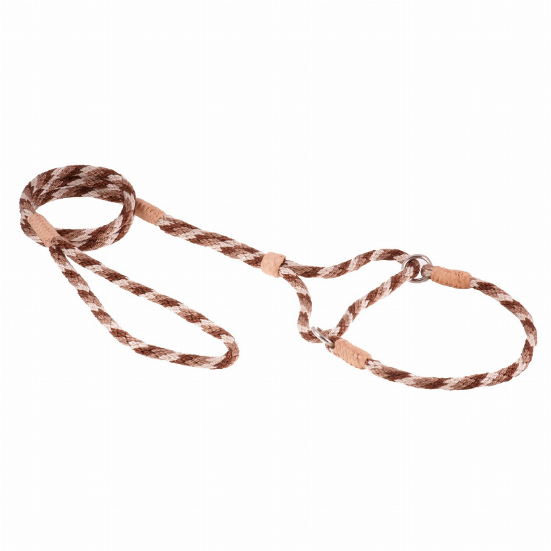 Alvalley Nylon Martingale Leads - Pet Supplies