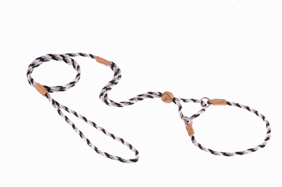 Alvalley Nylon Martingale Leads - Pet Supplies