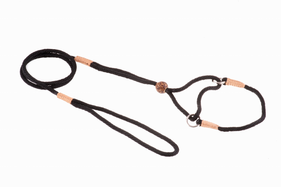 Alvalley Nylon Martingale Leads - Pet Supplies
