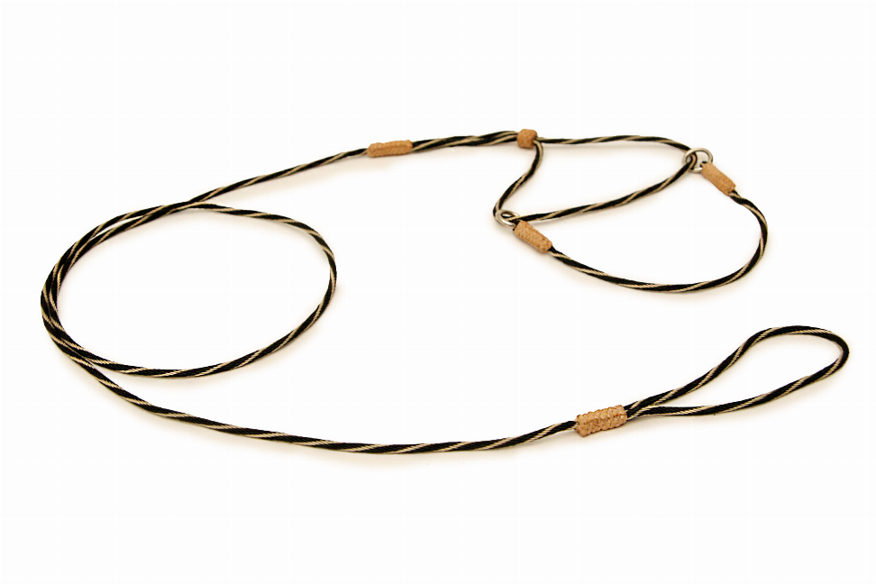 Alvalley Nylon Martingale Leads - Pet Supplies