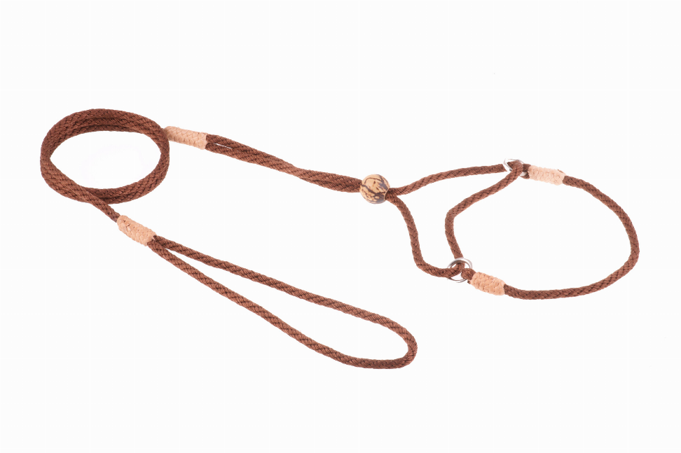 Alvalley Nylon Martingale Leads - Pet Supplies