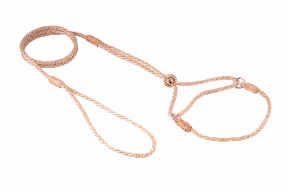 Alvalley Nylon Martingale Leads - Pet Supplies