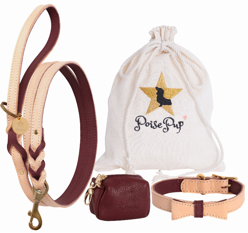 Dog Harness - Pet Supplies