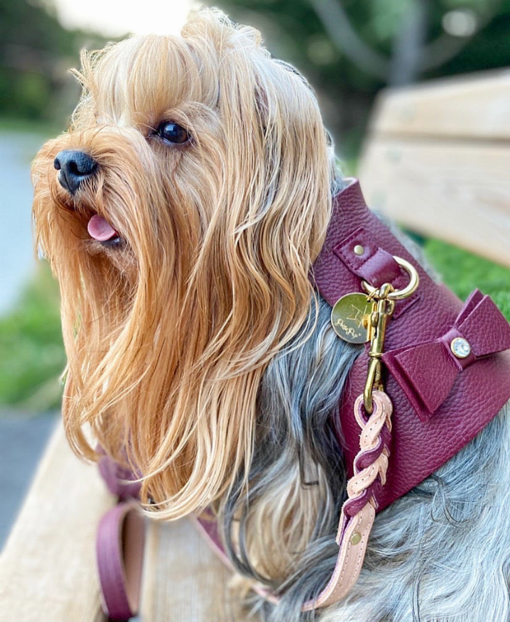 Dog Harness - Pet Supplies