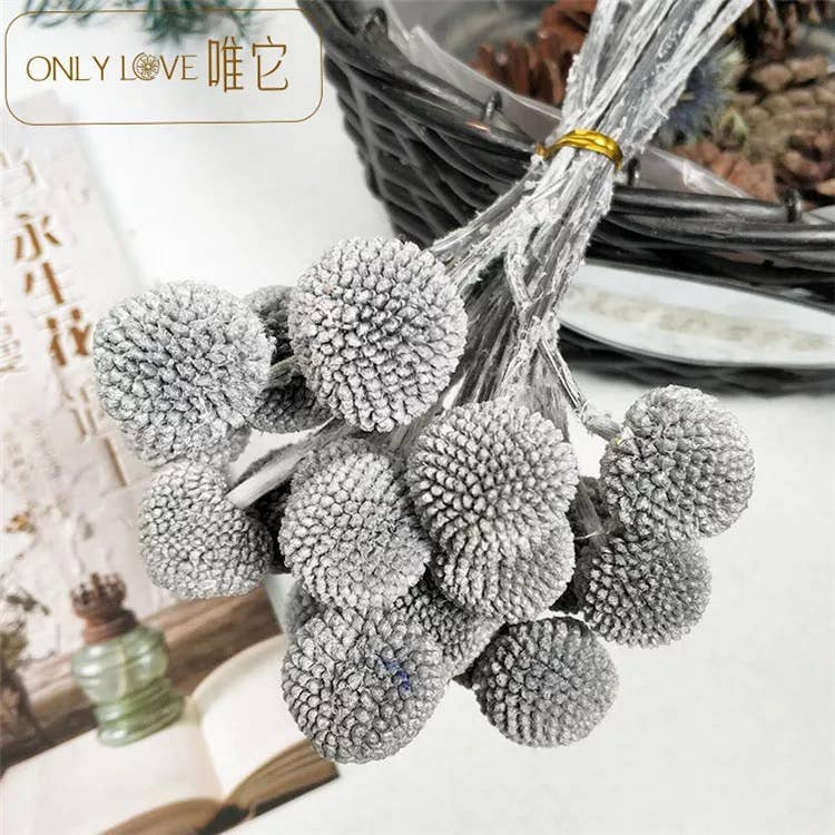Globosa-style flower bouquet with gray fuzzy pom-pom blooms on a clear stem
