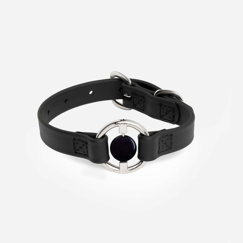 All Eyes On Me Collar - Pet Supplies