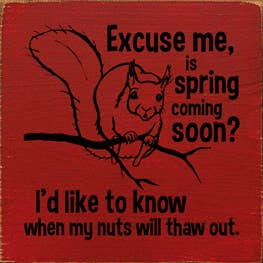 Red wooden wall sign with squirrel drawing and text: “Excuse me, is spring coming soon?”