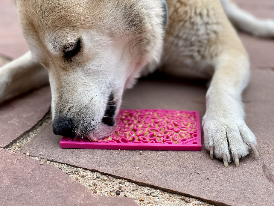 Dog lick enrichment mat, pink flower pattern, on floor as dog sniffs