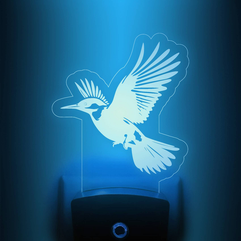 Hummingbird nightlight with blue glowing bird silhouette on clear acrylic stand