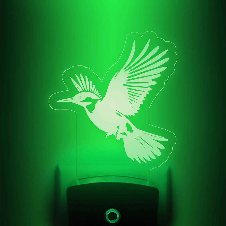 Hummingbird nightlight with green glowing bird silhouette on clear acrylic stand