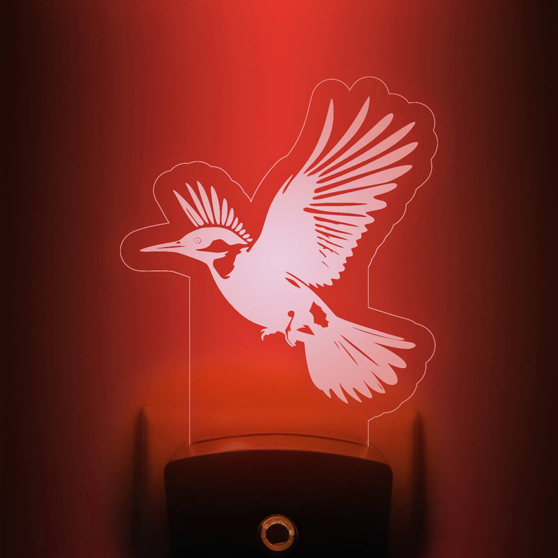 Hummingbird nightlight with red glowing bird silhouette on clear acrylic stand