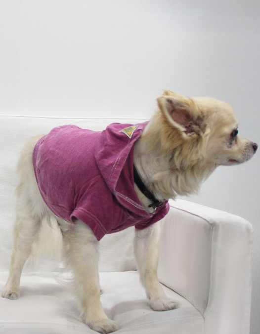Doggy Hoodie French Terry - Pet Supplies