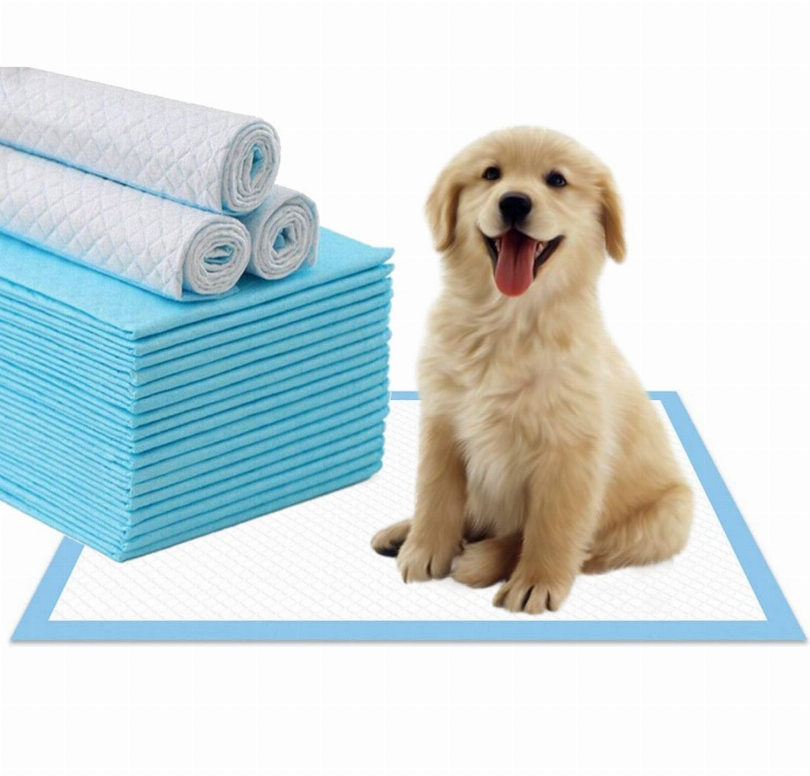 Blue absorbent gel training pee pads, folded stack on rectangular base sheet
