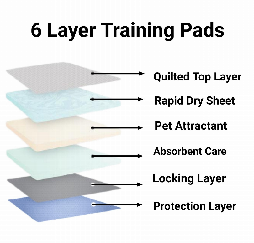 6-layer training pee pads stack showing quilted, rapid-dry, and absorbent layers