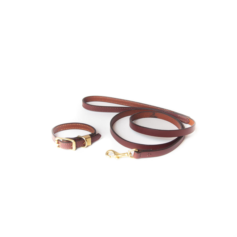 Chestnut leather dog leash with brass D-ring and clasp, plus matching handle loop