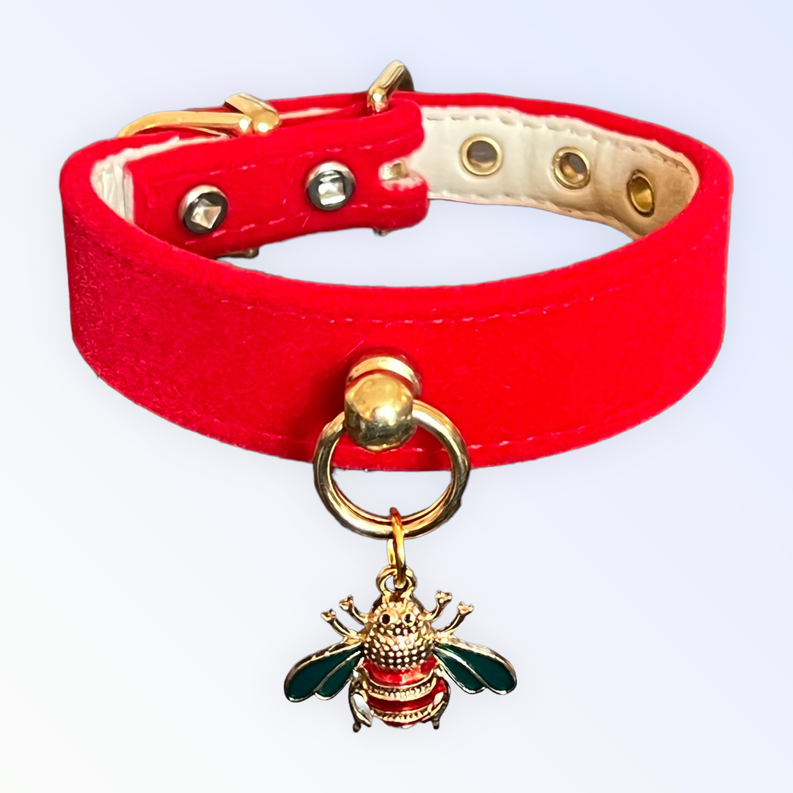 Red velvet dog collar with beige lining, gold studs, and hanging bee charm