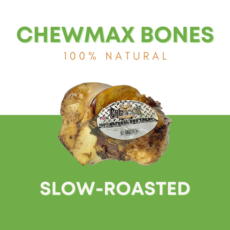 Slow-roasted beef femur knuckle bone chew with oval product label