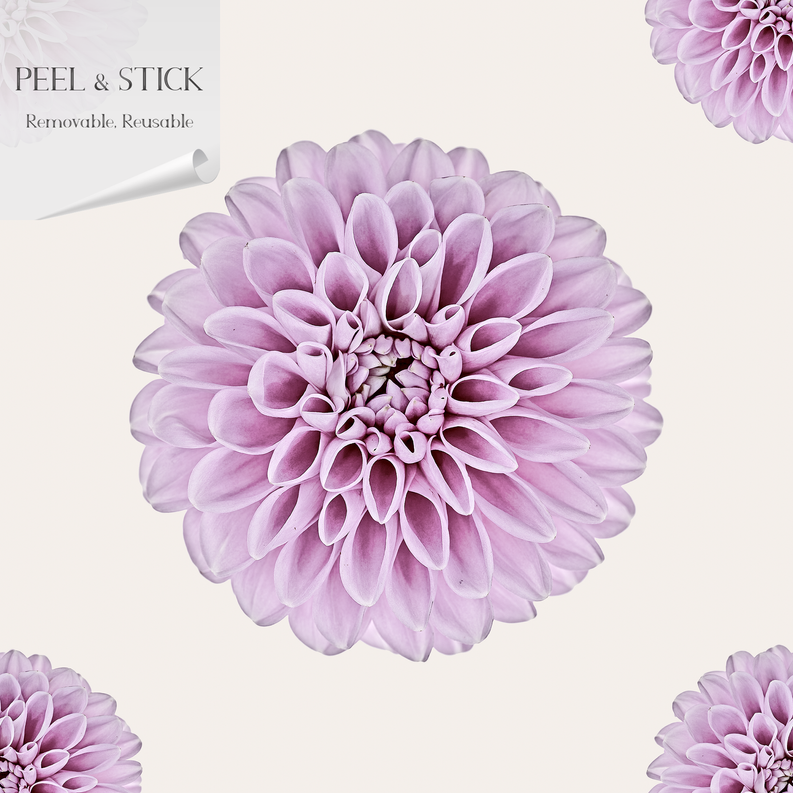 Peel-and-stick wallpaper panel with large lilac blossom flower on white background