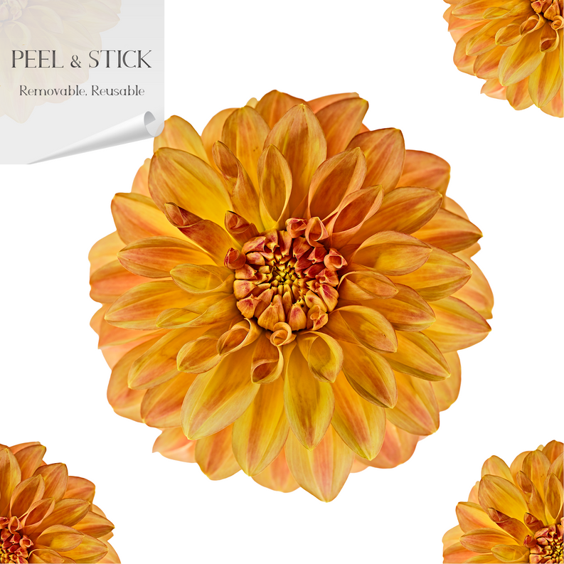 Peel-and-stick wallpaper panel with large orange and yellow dahlia-style flowers