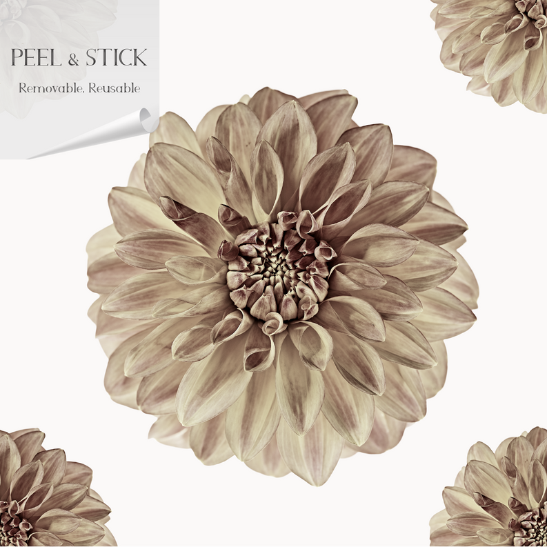 Peel-and-stick floral wallpaper panel featuring a large beige flower in watercolor style
