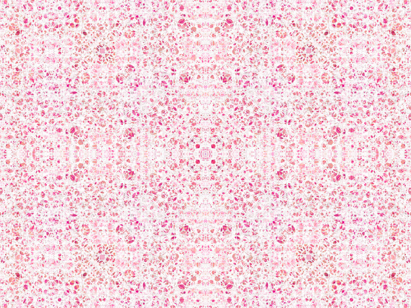Close-up pink and white poppy floral wallpaper with dense repeating pattern