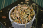Dried ginger-lemon herbal tea blend in a small white bowl, top view