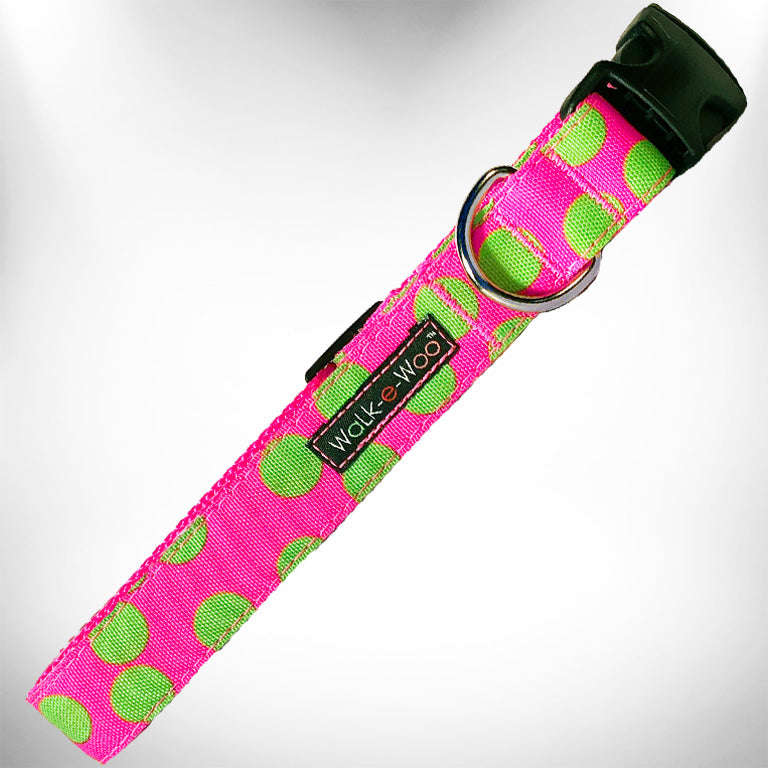 Neon polka dot dog collar with green buckle; pink strap with green dots