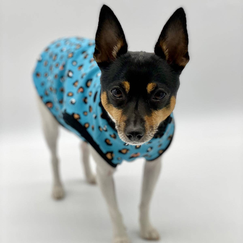 DCNY Teal Leopard Print Tank - Limited Edition - 1 / SM - Pet Supplies