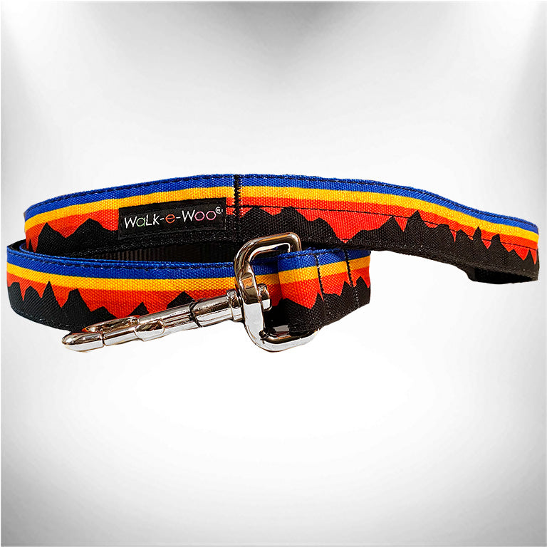 Colorful patterned dog leash with chrome clasp and adjustable black strap