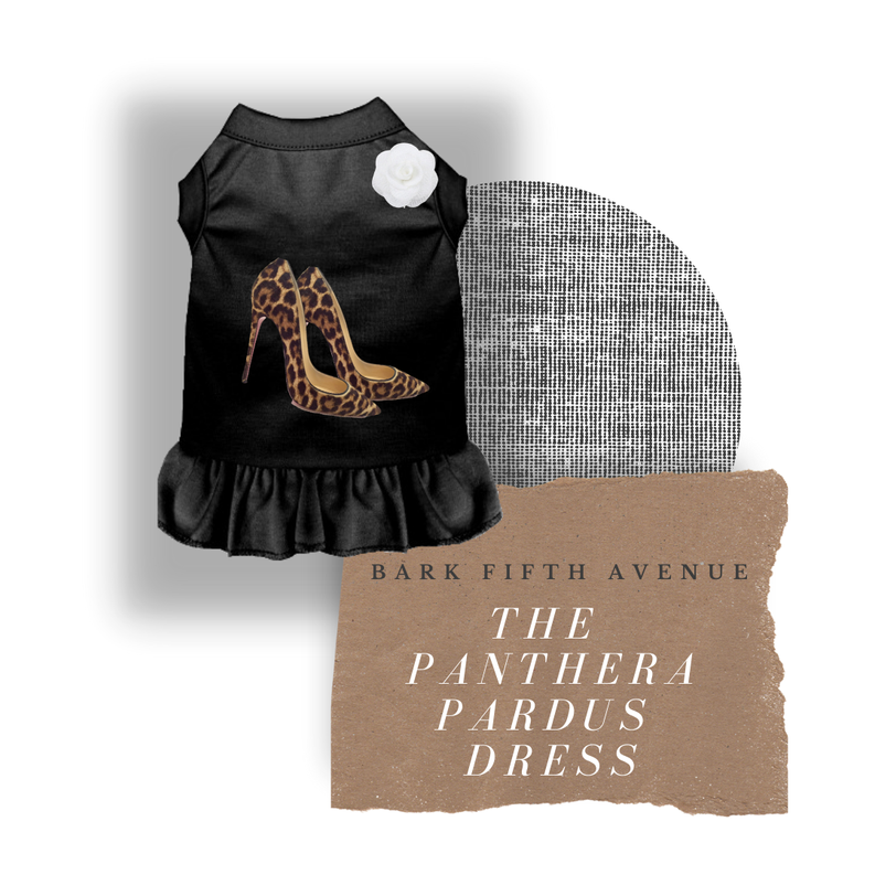 Black pet dress with leopard print shoe graphic, white rose applique, ruffled skirt