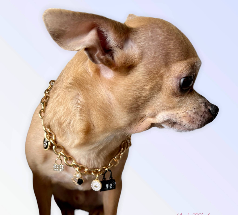 Gold-tone charm necklace with round and black dangling charms on dog collar