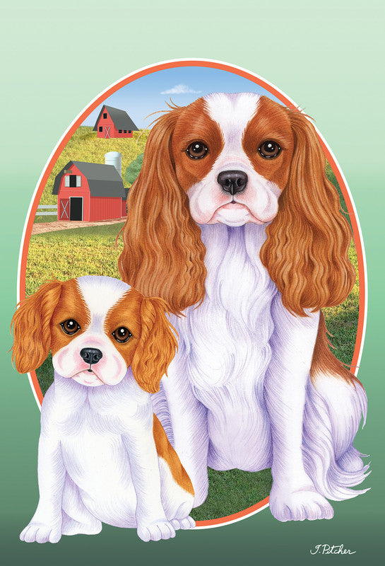 Labrador retriever house flag with two brown-and-white dogs