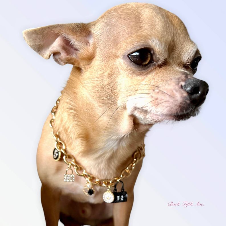 Gold-tone charm necklace on a tan dog: round medallion, heart, bow and black square charms.