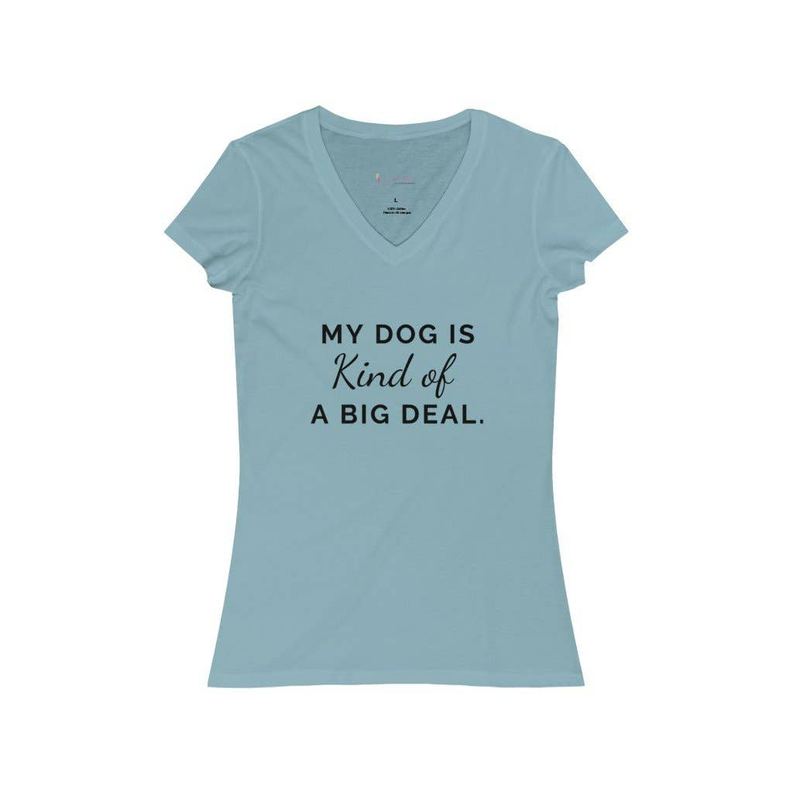 Women's short-sleeve v-neck jersey tee, light blue, front graphic text
