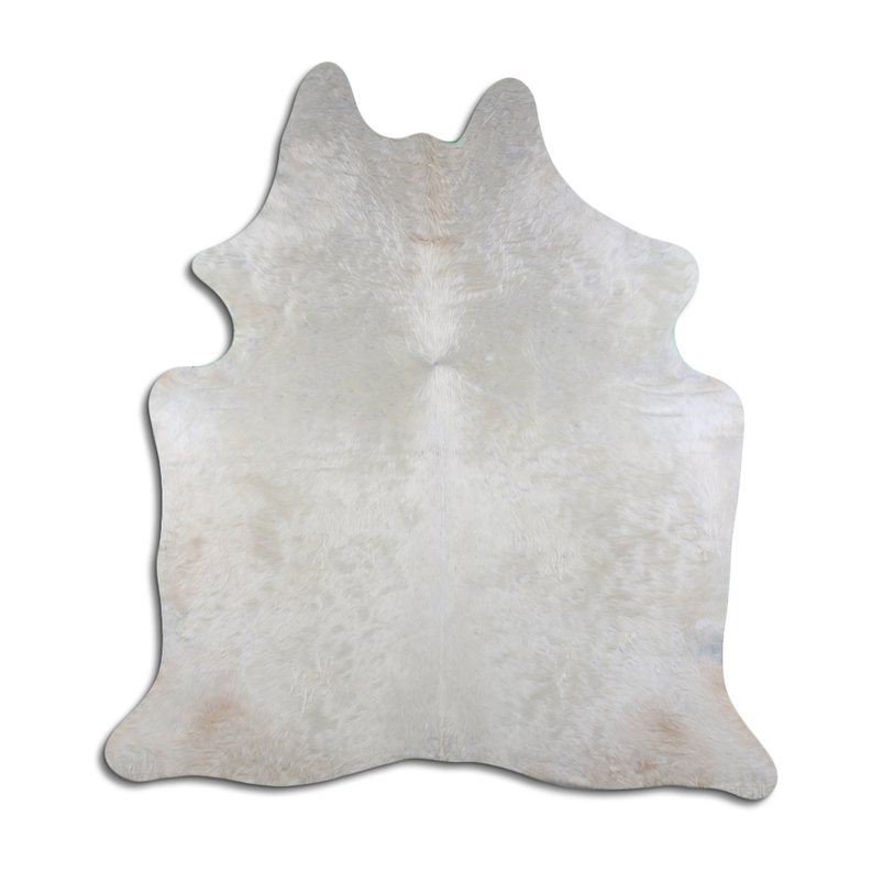 White cowhide rug with irregular hide pattern and short hair, natural edges