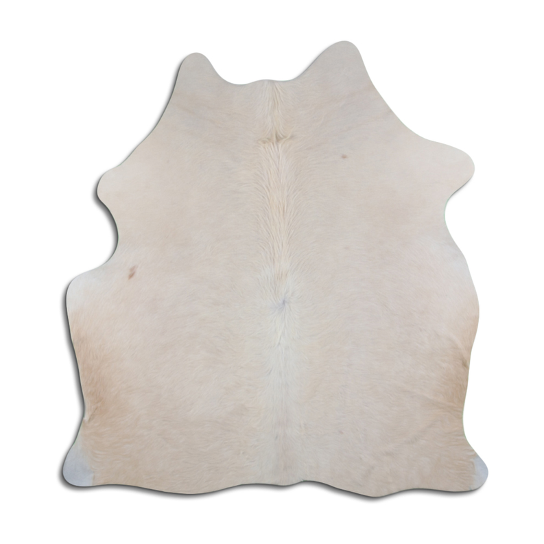 Natural cowhide rug with short light white hair, irregular hide shape