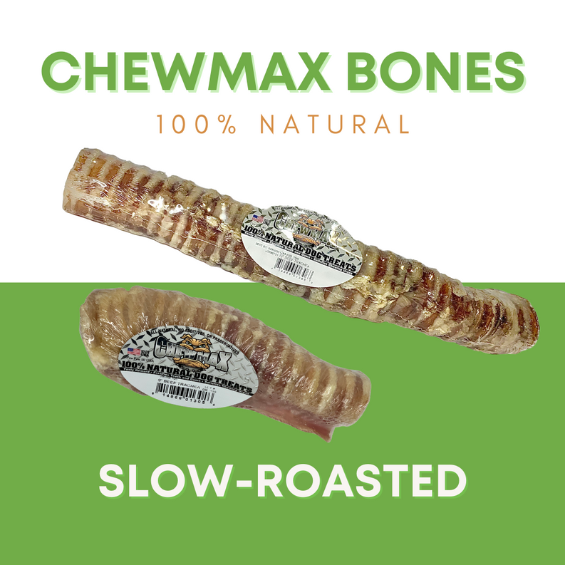 Two Chewmax Bones slow-roasted beef trachea bone treats