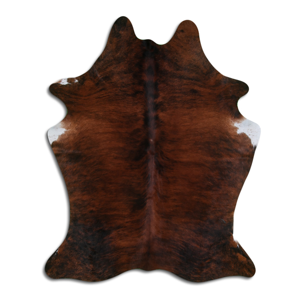 Medium brindle cowhide hair-on rug with irregular hide shape, dark brown