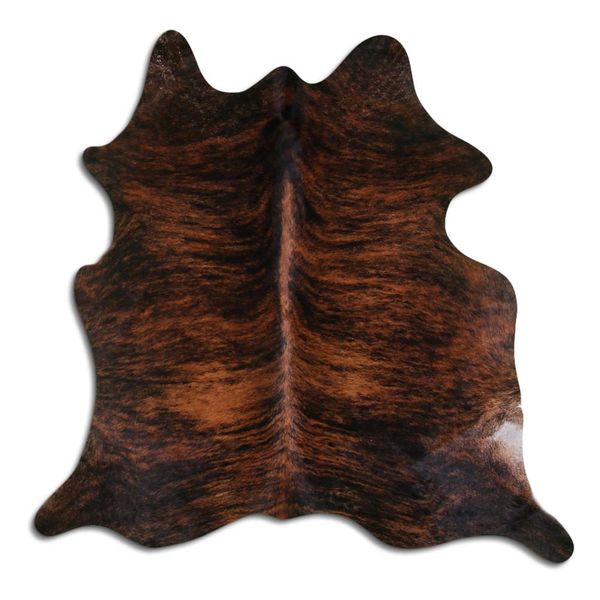 Natural brindle cowhide with dark brown and tan hair on irregular hide