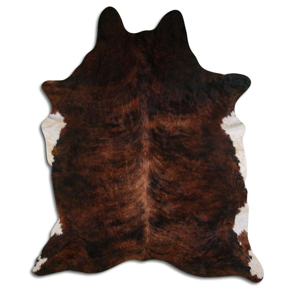 Natural hair on cowhide rug, dark brown and reddish brindle, irregular hide shape
