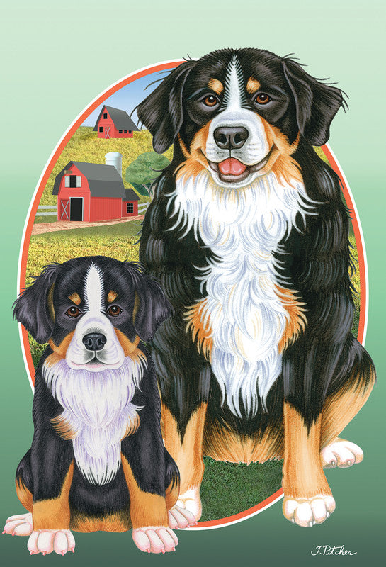 Border Collie - Best of Breed Dean Russo House and Garden Flag - Garden 12" x 17" - Outdoor's