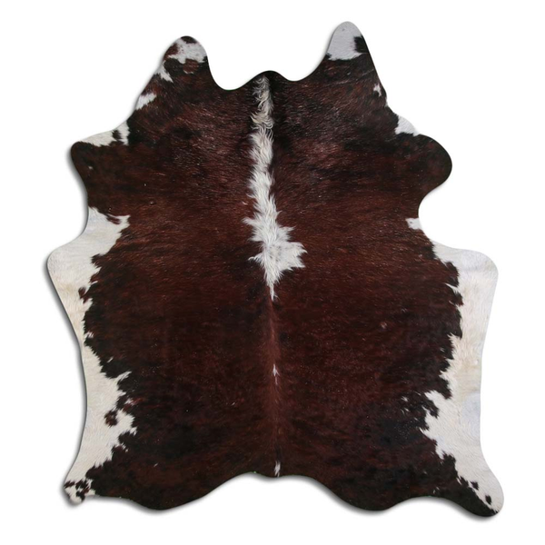 Cowhide rug with dark brown hair and white patch pattern, natural edge