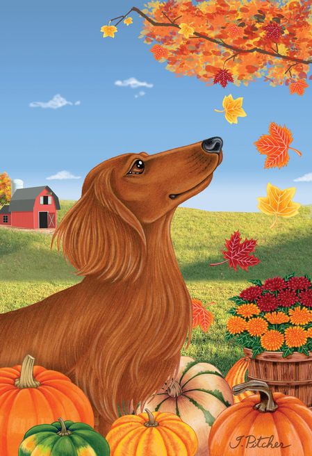 Dachshund  Red Longhaired  -  Tomoyo Pitcher Autumn Leaves Outdoor Flag - Outdoor's