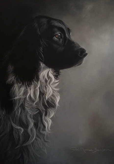 Garden flag with black-and-white Springer Spaniel portrait, side profile dog face.