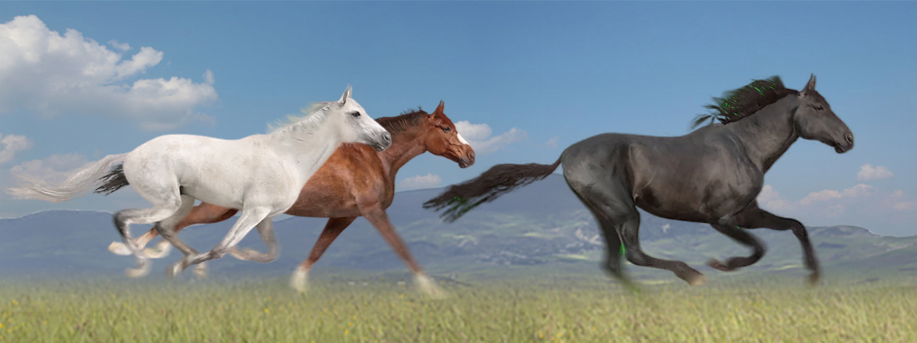Horse-themed motion bookmark ruler, showing two galloping horses in side view